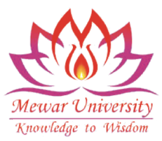 Mewar University